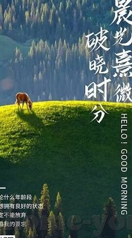 91麻豆视频免费-重塑观看体验，探索91麻豆视频免费的崭新视角