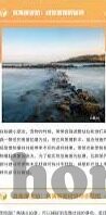 国产麻豆app-改编与探索，国产麻豆APP的创新与传统结合