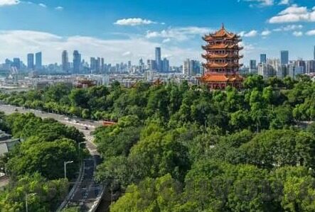 麻豆传煤怎么观看app-解锁新视界，探秘麻豆传煤app的高效观看攻略