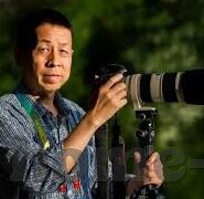 人妻美由纪-探寻人妻美由纪，平凡生活中的不凡魅力