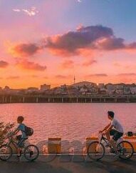 手机版大象传媒-探索手机版大象传媒，新媒体时代下的便捷与多元