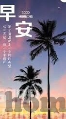 糖心vlog金善雅下载-糖心Vlog-金善雅的魅力之旅